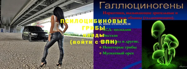 спайс Аркадак