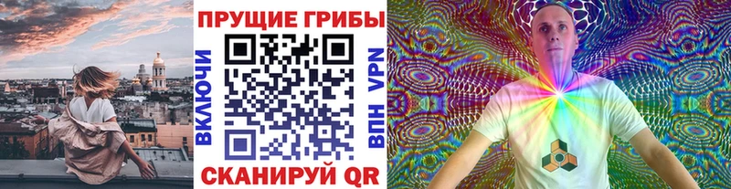ОМГ ОМГ ТОР  Темников  Псилоцибиновые грибы мицелий 